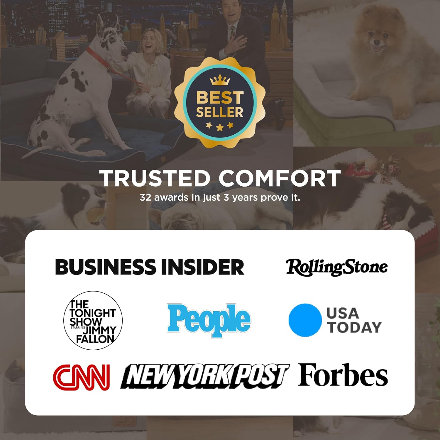 Bedsure Orthopedic Dog Beds for Small Dogs - Washable Small Dog Cat Bed Waterproof, Comfort Pet Couch Sofa with Washable Removable Cover, Pets Bed with Nonskid Bottom, Black, 24" - Pet Explorer