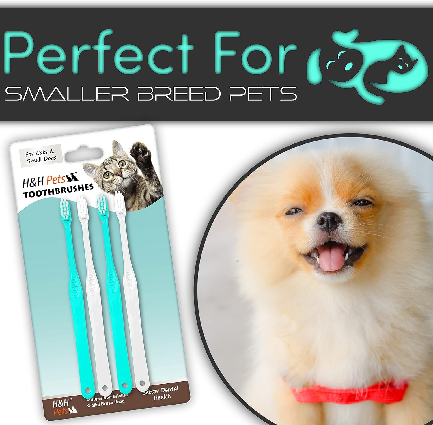 H&H Pets Toothbrush for Small Dogs & Cats - Soft and Extra Small Toothbrush Designed for Cats, Puppies, and XS Breed Dogs Like Teacups, Chihuahuas, Yorkshire, and Poodle, 4 Count Pack - Pet Explorer