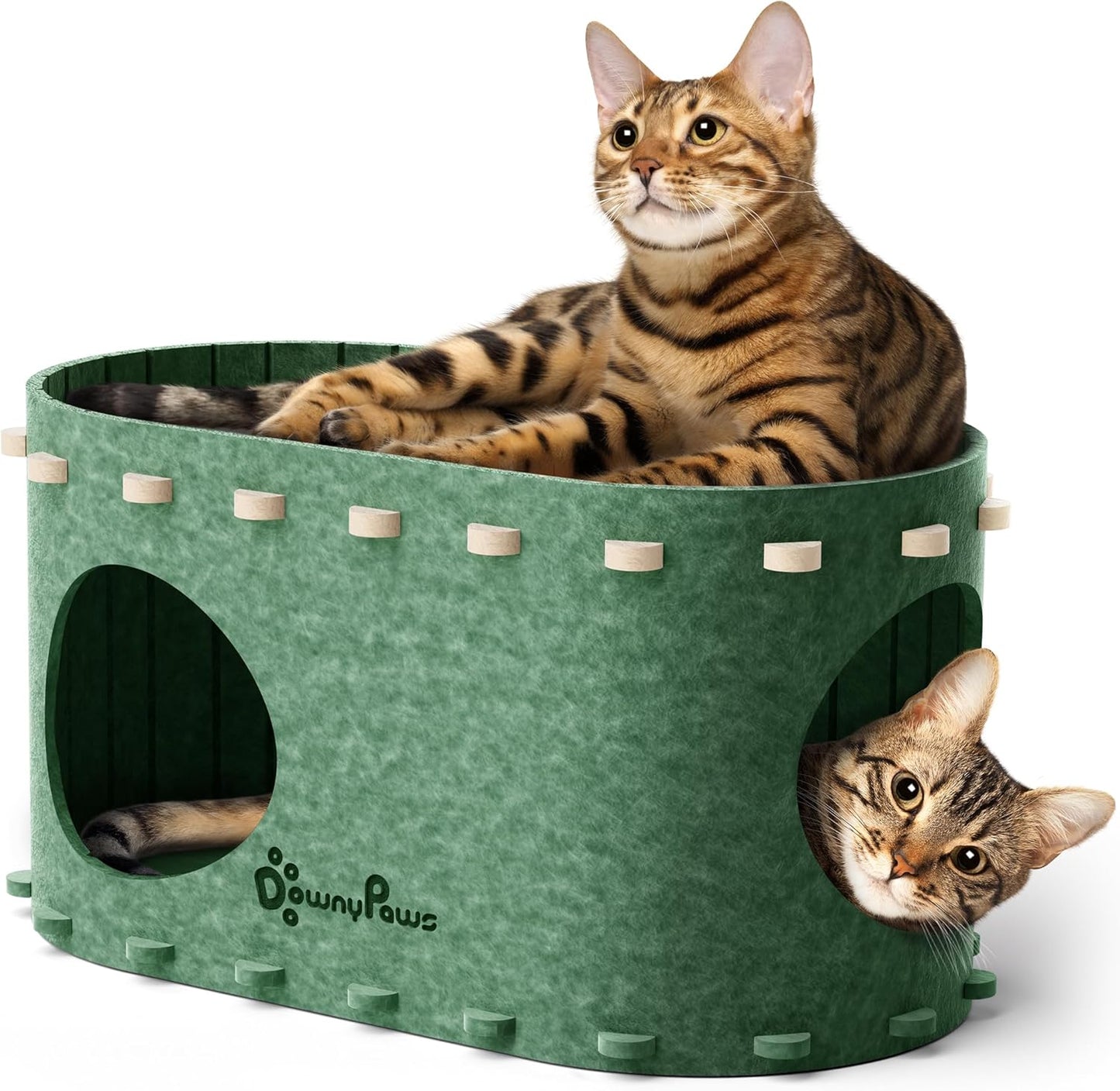 DownyPaws Cat House for Indoor Cats, Cat Bed Cave for Multiple & Large Cats Up to 22 Lbs, Scratch Resistant Peekaboo Cat Caves, Foldable Tunnel Enclosed Bed, PeekaPurr, Forest - Pet Explorer
