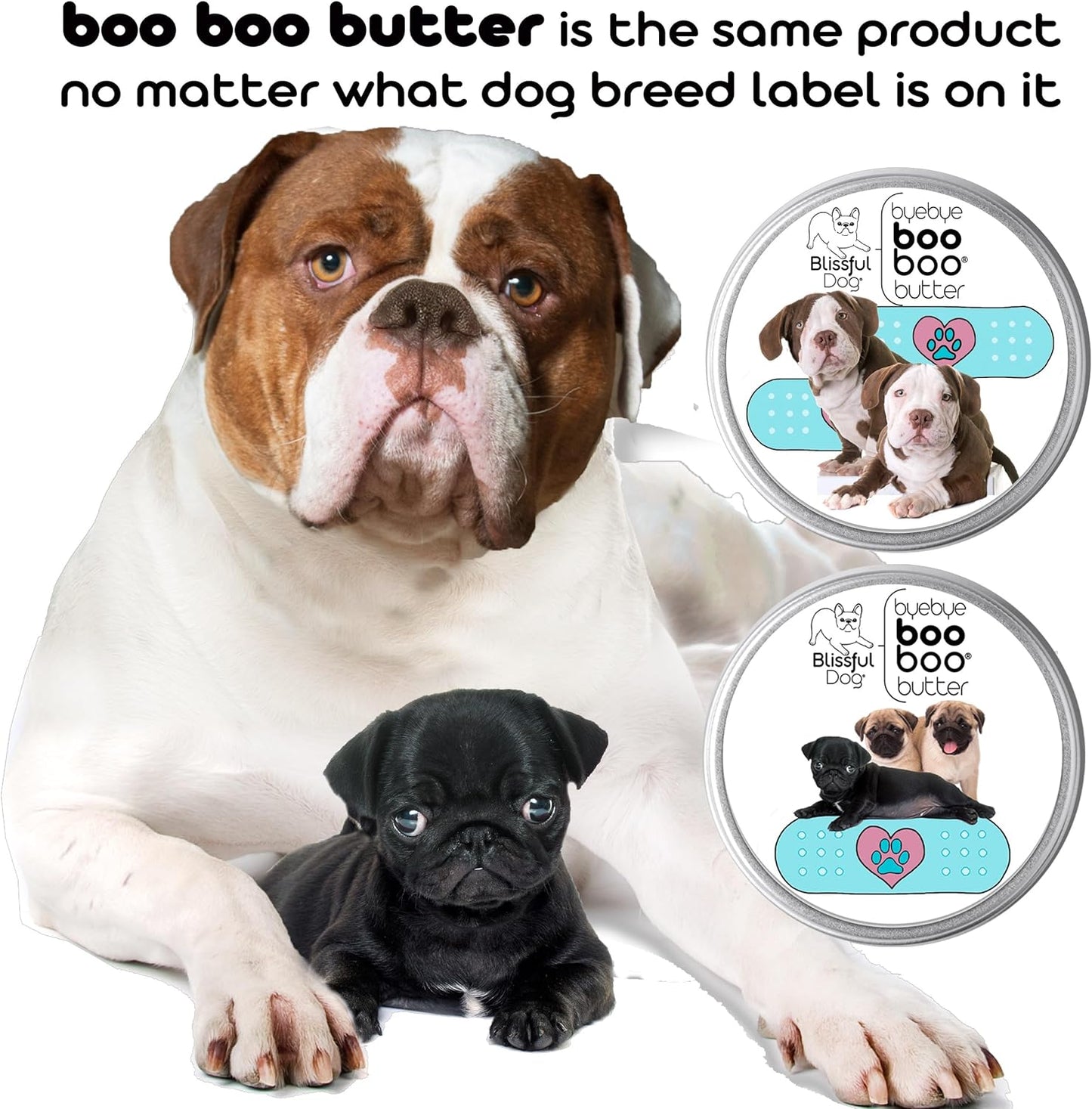 The Blissful Dog 8 oz TIN St. Bernard Booboo Butter - Pet Explorer