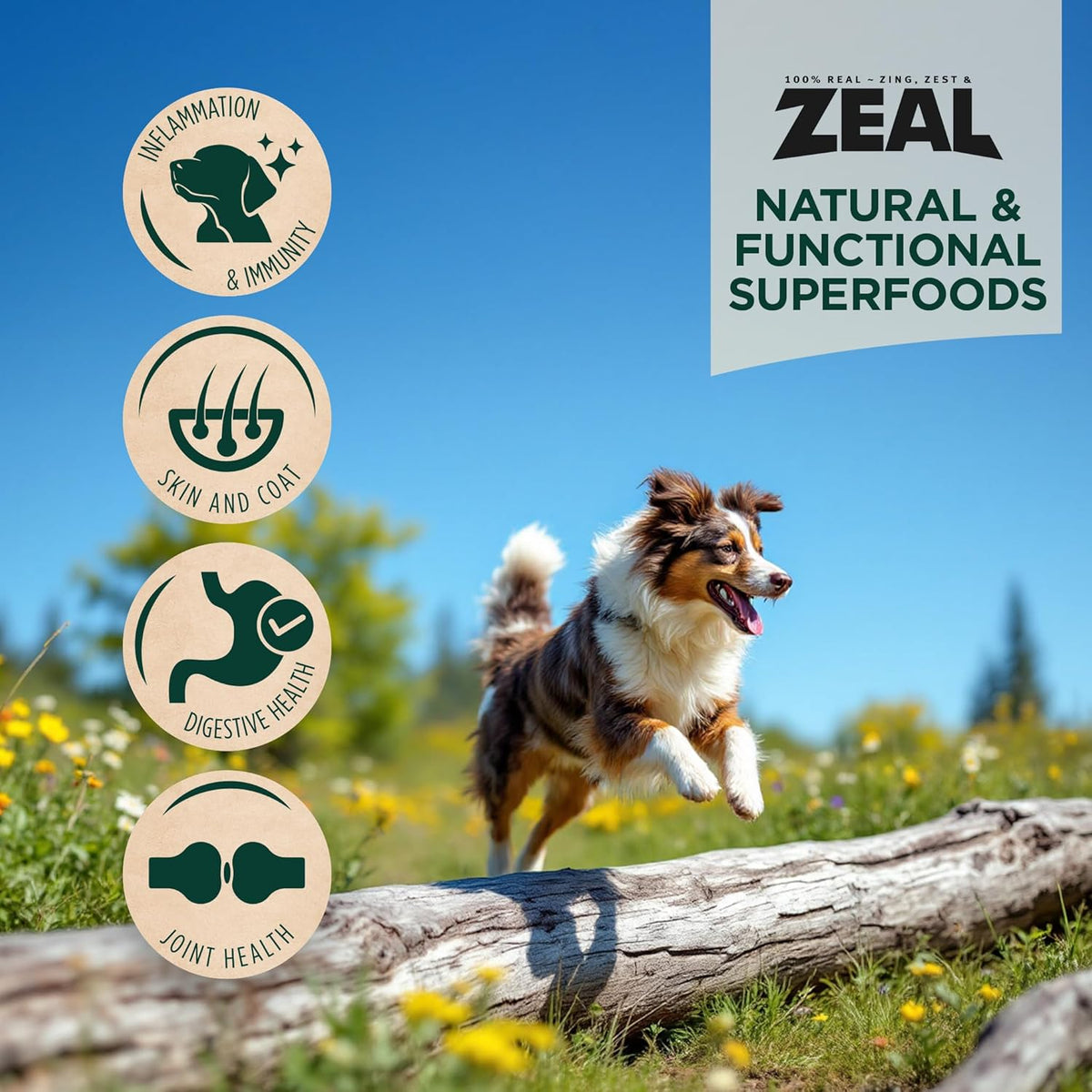 ZEAL Canada Air-Dried Beef Recipe for Dogs - High Protein, Natural Superfoods, Nutrient Rich, No Fillers, Grain Free, Complete & Balanced (Beef, 1 lb)