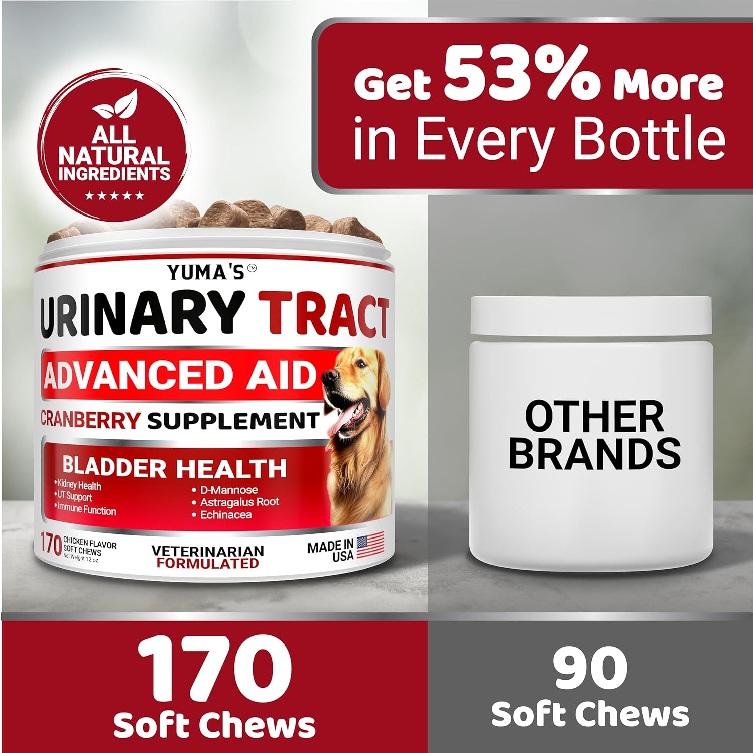 Dog UTI Treatment - 170 Treats - Cranberry Supplement for Dogs - Bladder Control - Urinary Tract Infection Treatment - UTI Medicine Multivitamin - Vitamins and Supplements - Made in USA - Pet Explorer