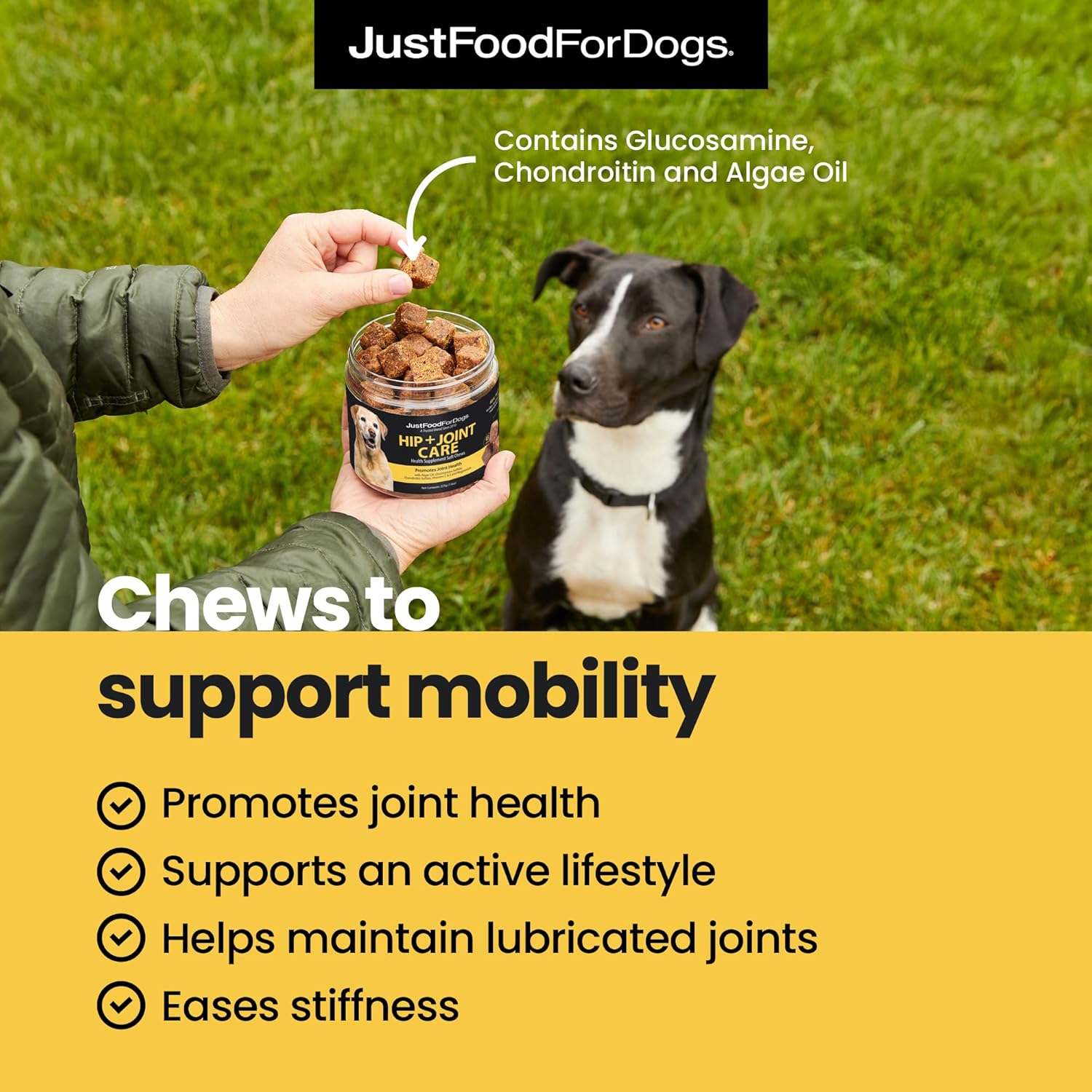 JustFoodForDogs Hip + Joint Soft Chews Mobility Supplement for Dogs with Glucosamine and Chondroitin, Superfood Blend, Human Grade, Plant-Based - 45 Count - Pet Explorer