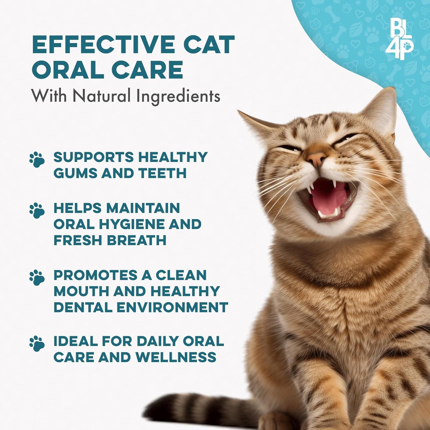 Cat Bad Breath & Oral Health Remedy, Natural Dental Care Cats Teeth, Mouth and Gums, Easy to Use Daily Supplement for Stomatitis, Gingivitis, Plaque & Tartar Control for Cats, 800 Small Pills - Pet Explorer