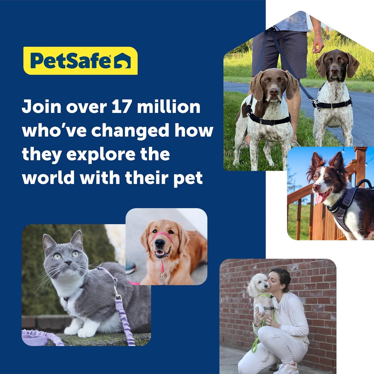 PetSafe 3 in 1 Dog Harness - No Pull Solution for Dogs - Reflective Dog Harness - Front D-Ring Clip Helps Stop Pulling - Comfortable Padded Straps - Top Handle Enhances Control - Teal - Medium - Pet Explorer