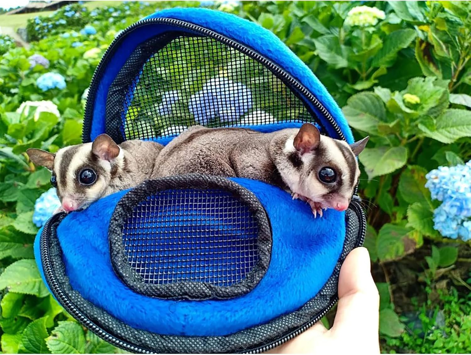 Kucci Carry Pouch - Fleece Travel Bonding Carrier Bag - for Sugar Gliders, Squirrels, Marmosets, Hamsters, Rodents, Rats, Reptiles & Other Small Pets (X-Large) - Pet Explorer