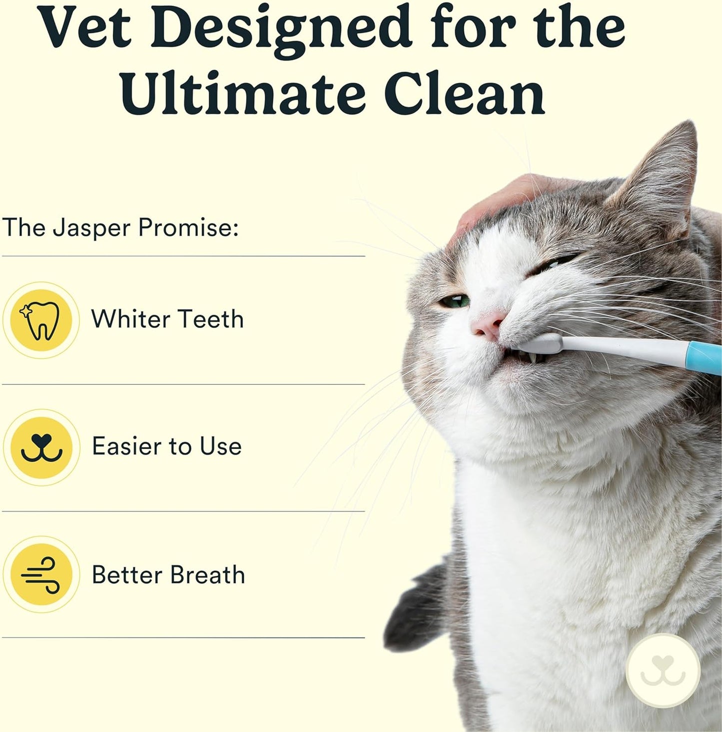 Jasper Microbrush Cat Toothbrush, Soft-Bristled Toothbrush Kit for Felines & Small Dogs, Premium Non-Slip Handle with 2 Replaceable Tooth Brush Heads, Use with Cat Toothpaste - Pet Explorer