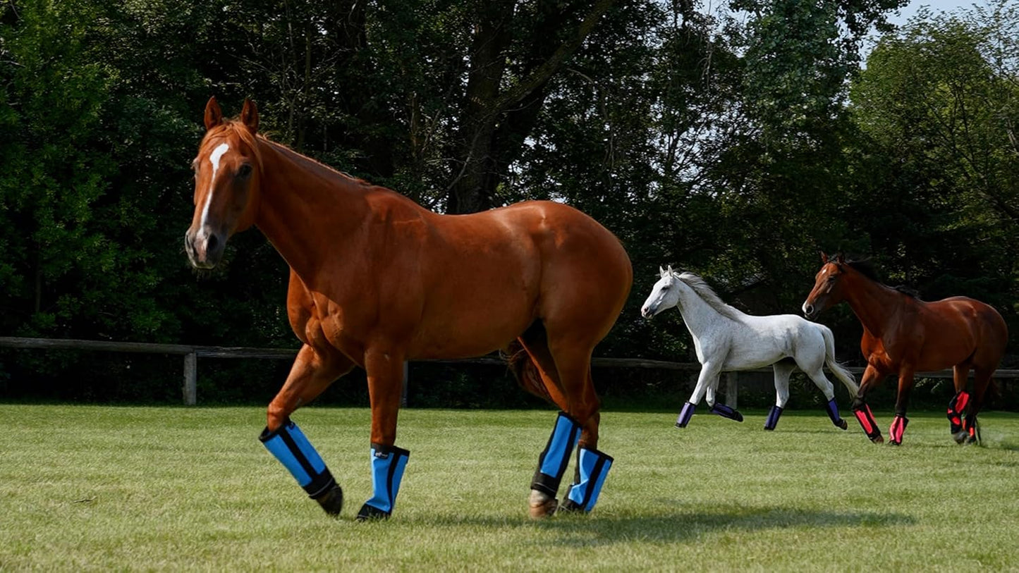 Warrior Fly Boots for Horses - Breathable Mesh Horse Boots for Fly Protection & Leg Comfort - Set of 4 (Knight Warrior, Purple)