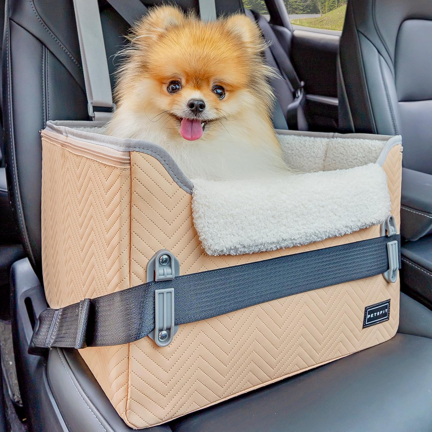 PETSFIT Cat Car Seat, Waterproof PU Leather Dog Booster Car Seat with Patent Safe Buckles, Clip-On Leash, Pet Travel Carrier Bed for Small Pets Up to 25lbs (Orange) - Pet Explorer