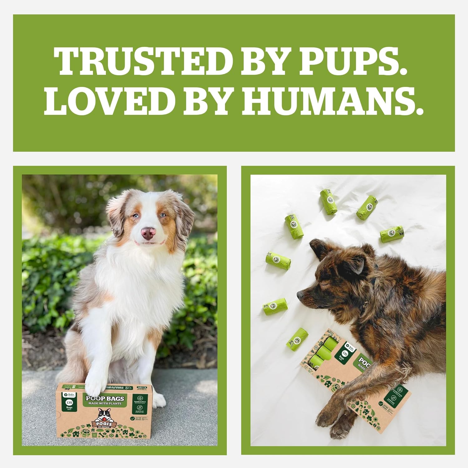 Pogi's Compostable Poop Bags – Leak-Proof, Extra-Large, Made with Plants – 32 Rolls (480 Bags) - Pet Explorer