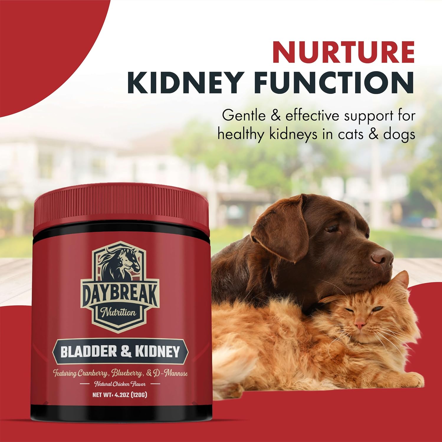 Bladder and Kidney Relief for Dogs & Cats by Daybreak Nutrition | Powder Cranberry Supplement for Dogs and Cat for UTI Treatment & Urinary Support | Dog & Cat Urinary Tract Infection Remedy Supplement - Pet Explorer