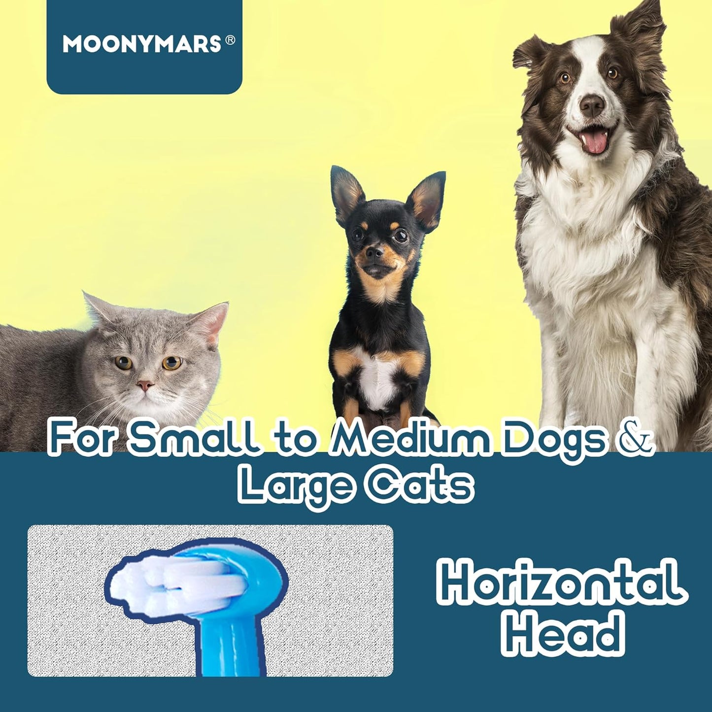 Small Dog Toothbrush, Cat & Puppy Tooth Brushing Kit, Mini Head Teeth Brush for Kitten & Tiny Pet, Doggy Toothbrushes Deep Dental Cleaning, 2 PCS - Blue - Pet Explorer