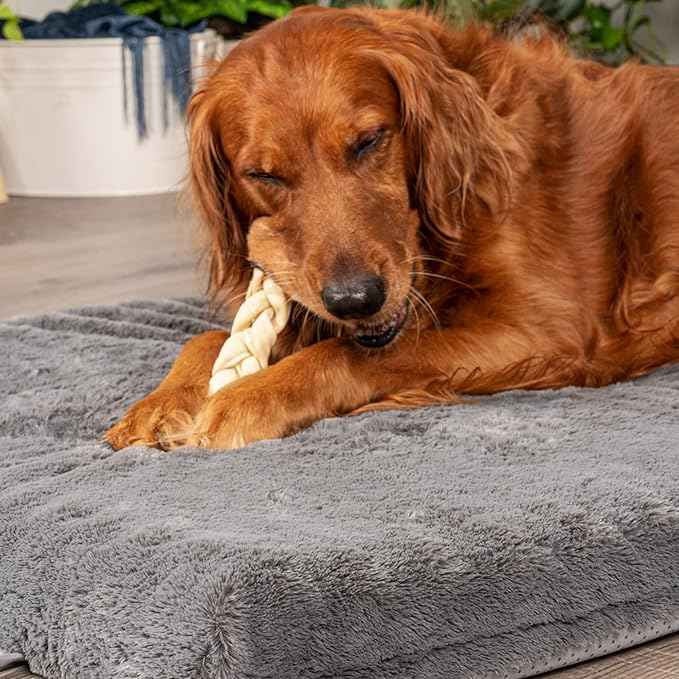 Pet Factory CareChewz Collagen 6-7" Skinny Braided Sticks Dog Chew Treats - Natural Flavor, 15 Count/1 Pack