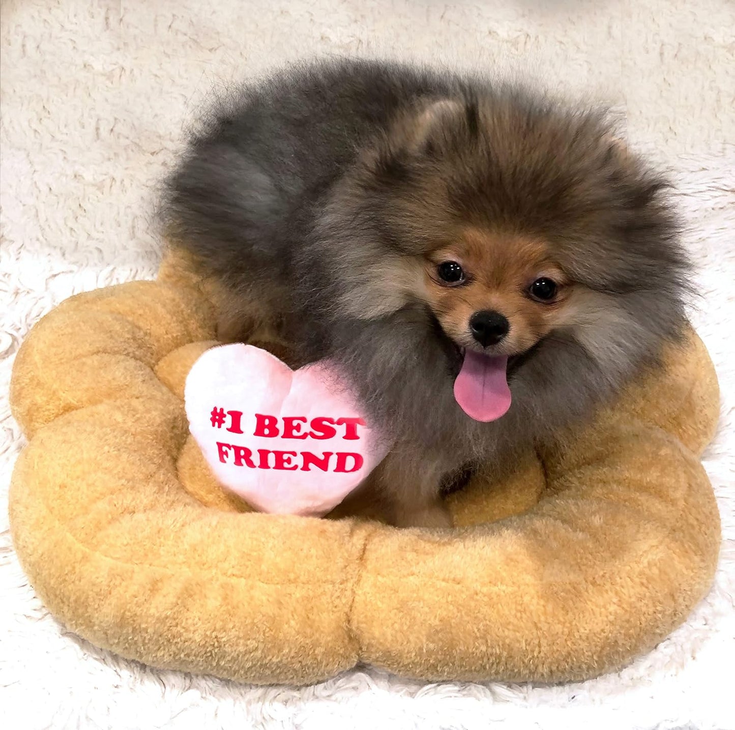 TONBO Soft Plush Small Cute and Cozy Nature Dog Cat Bed, Washer and Dryer Friendly (Paw) - Pet Explorer