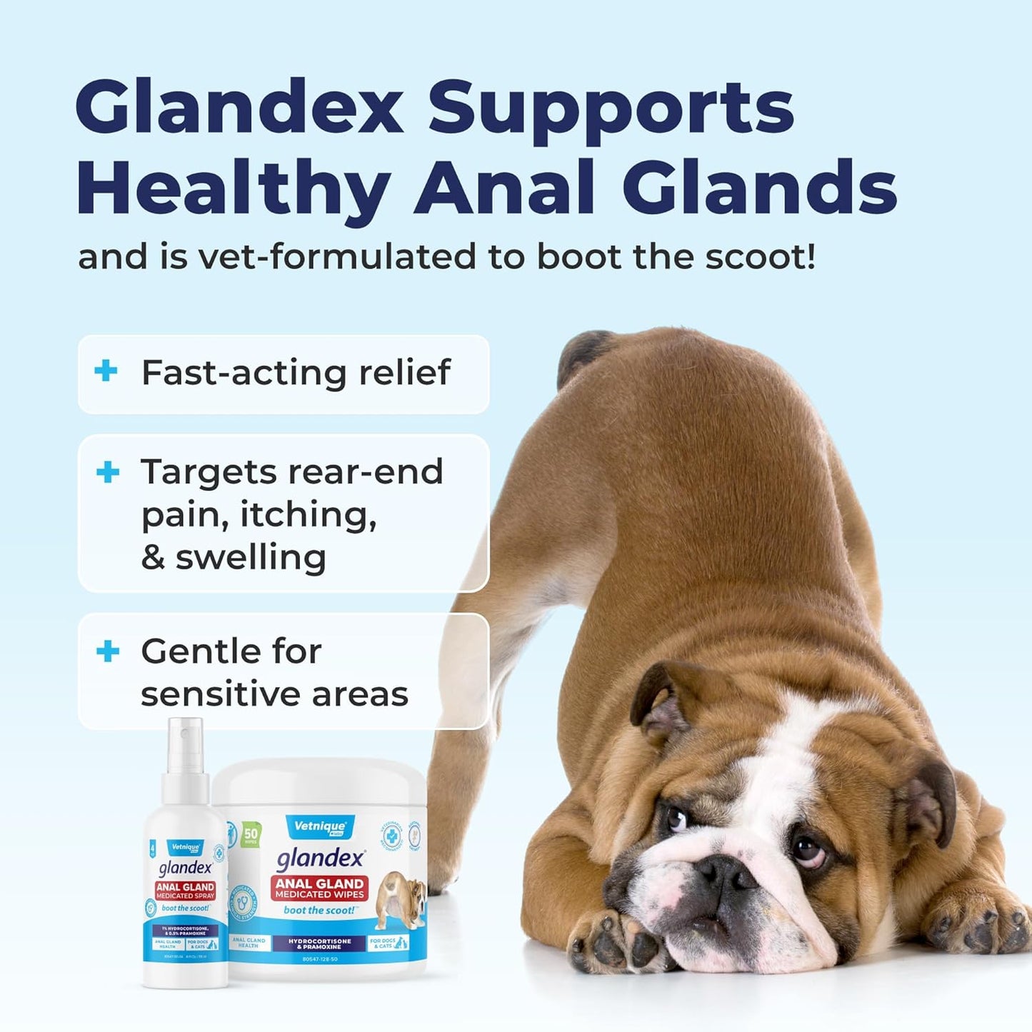 Vetnique Glandex Medicated Dog Butt Wipes or Spray for Dog Scooting - Topical Anti Itch Skin Relief for Soothing Inflamed Anal Glands in Dogs & Cats - Fast Acting Formula 50ct (50ct Wipes) - Pet Explorer