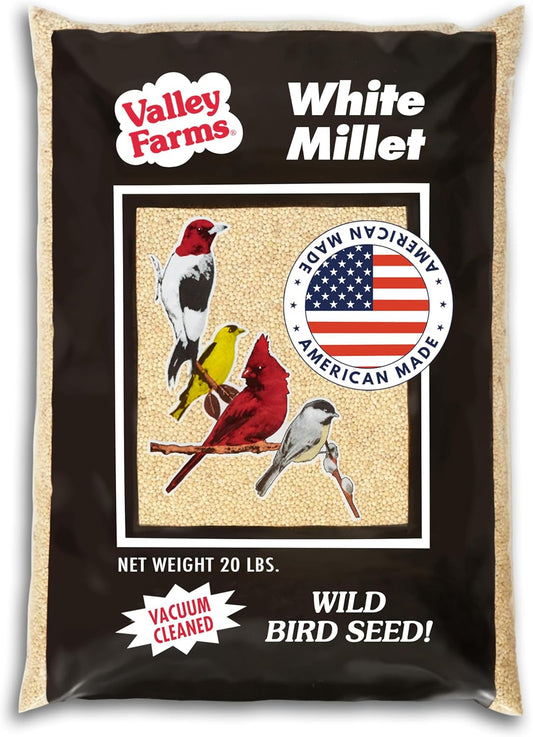 Valley Farms White Millet Wild Bird Seed (20 LB) for Outside feeders, White proso Millet, Bird Watcher Secret Wild Bird Food