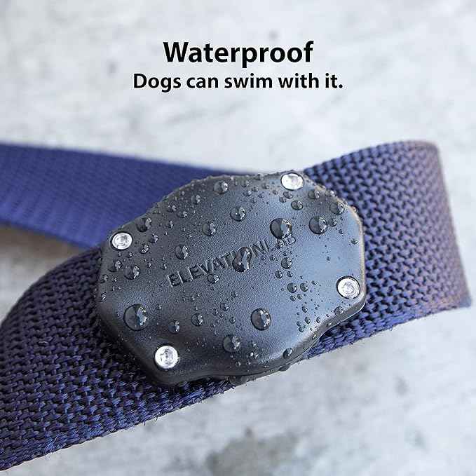 Elevation Lab AirTag Dog Collar Holder - TagVault™ - Secure Thru-Mount, IP69 Waterproof, Doesn't Dangle, Fits All Width Collars (2 Pack)