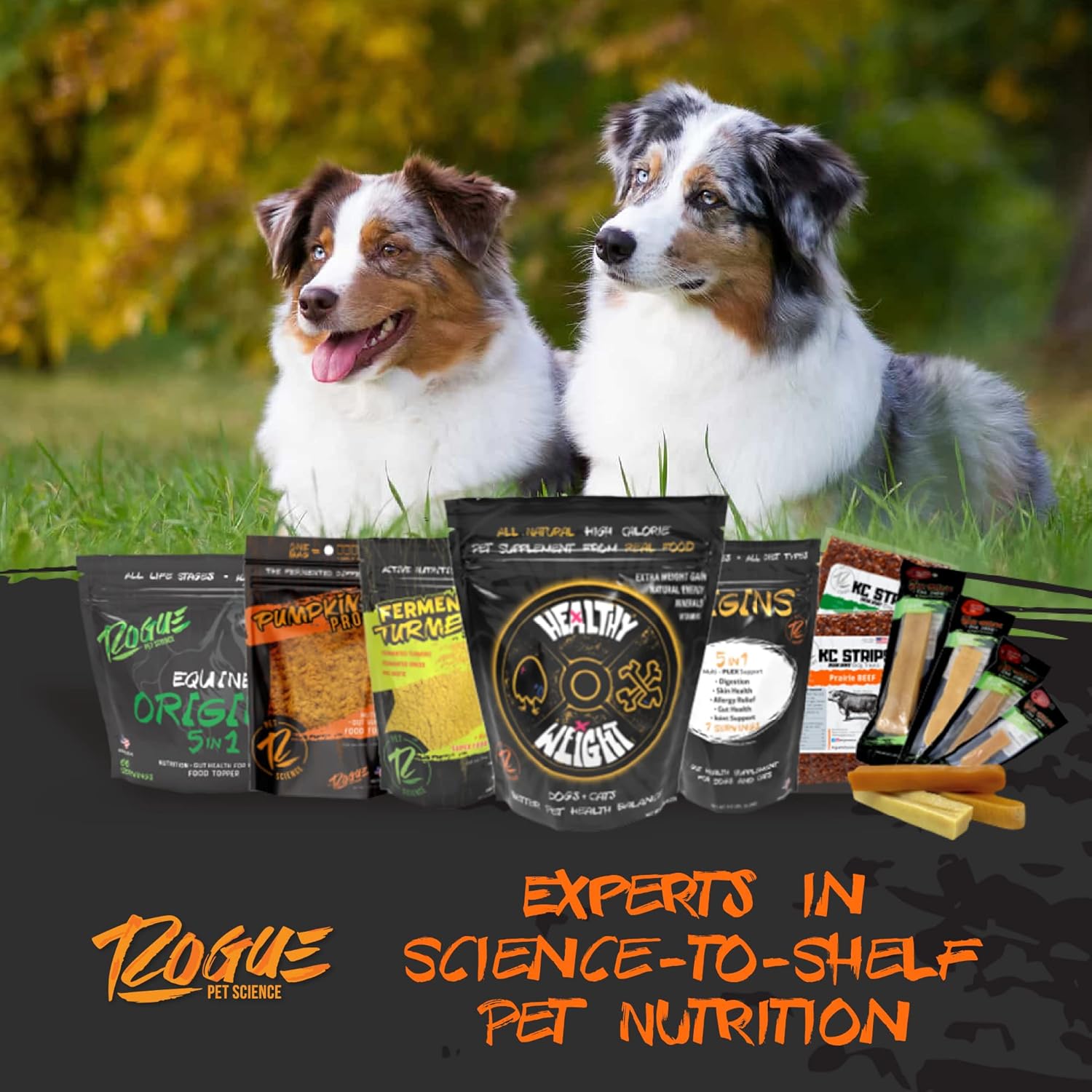 Origins 5-in-1 Dog Supplement - Powdered Food Topper w/Natural Omega 3 Fish Oil - Supports Healthy Digestion, Skin, and Coat - Helps Reduce Itching & Joint Inflammation (2 lbs) - Pet Explorer
