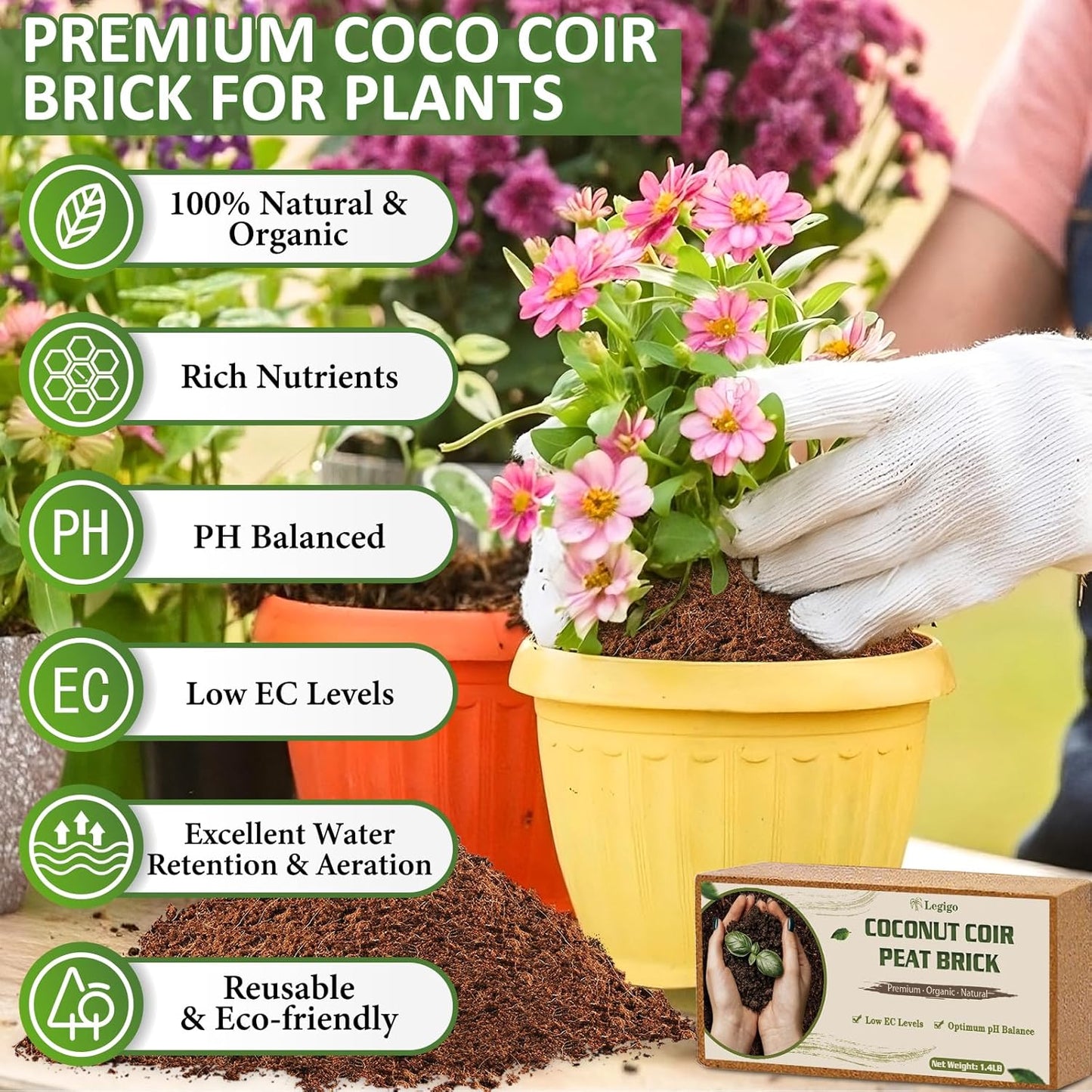 Legigo 6 Pack Premium Coco Coir Brick for Plants- 100% Organic Compressed Coconut Coir Bricks Starting Mix, Coco Coir Fiber Coconut Husk for Planting, Gardening, Potting Soil Substrate, Herbs - Pet Explorer