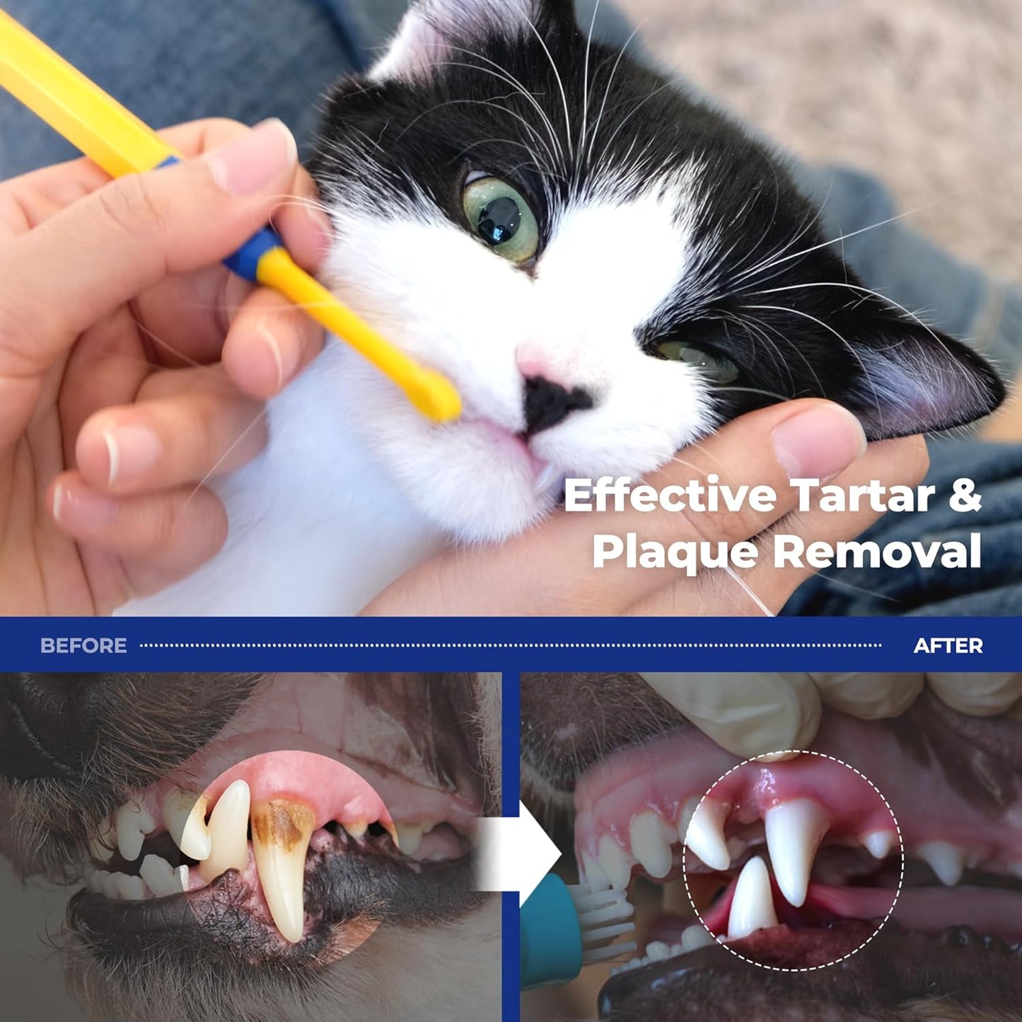 PETHROOM] Pet Toothbrush - Cats, Kitten, Small Dog Dental Care, Removing Teeth Tartar | Soft Bristle Cleaning Toothbrush Cat (Extra Small) - Pet Explorer