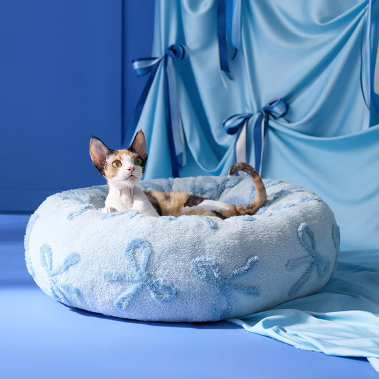 LE SURE Donut Cat Beds for Indoor Cats - Round Small Dog Bed Calming Pet Beds, Cute Modern Beds with Jacquard Shaggy Plush & Anti Slip Bottom, 20 Inch, Ice Melt - Pet Explorer
