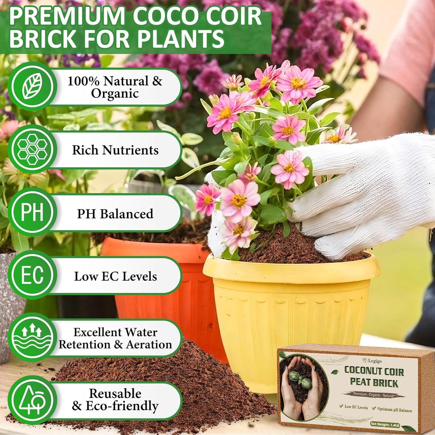 Legigo 12 Pack Premium Coco Coir Brick for Plants- 100% Organic Compressed Coconut Coir Bricks Starting Mix, Coco Coir Fiber Coconut Husk for Planting, Gardening, Potting Soil Substrate, Herbs - Pet Explorer