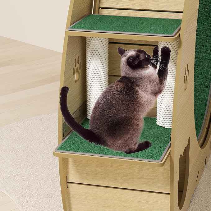 Cat Running Wheel for Indoor Cats, Large 6-in-1 Cat Treadmill with Bowls, Scratch Post & Resting House, Quiet Cats Wheel Exerciser for Kitty Fitness Wood Color