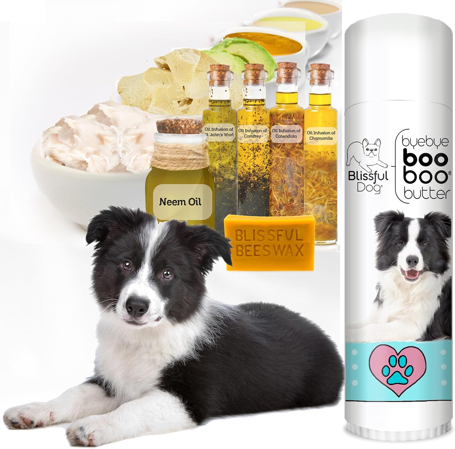The Blissful Dog .50 oz Tube Border Collie Booboo Butter - Pet Explorer