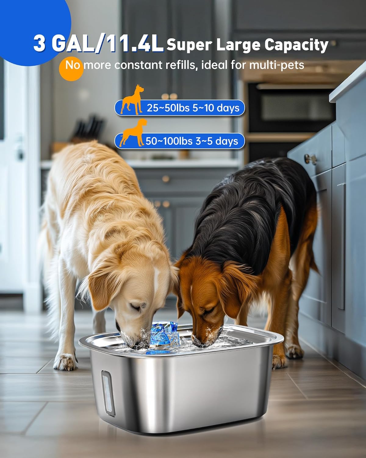 Dog Water Fountain for Large Dogs Stainless Steel, 3Gal Extra Large Dog Water Bowl Dispenser with 2 Filters & Visual Window, Automatic Filtered Pet Fountain Indoor, Quiet Safe Pump with LED Indicator - Pet Explorer
