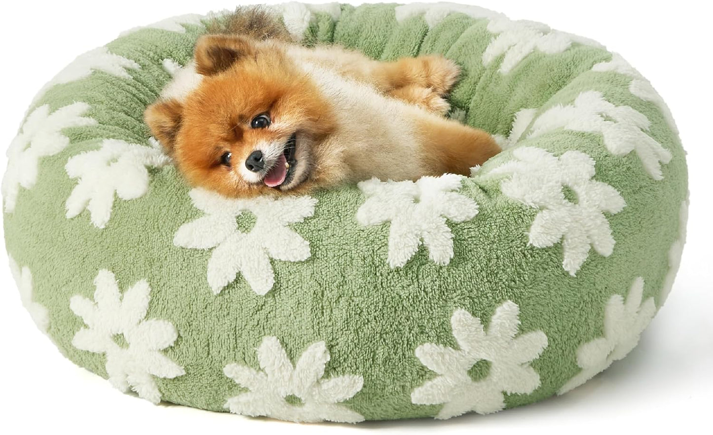 LE SURE Small Dog and Cat Bed - Round Calming Beds, Cute Modern Design with Jacquard Shaggy Plush, Anti-Slip Bottom, 23 Inch, Green - Pet Explorer