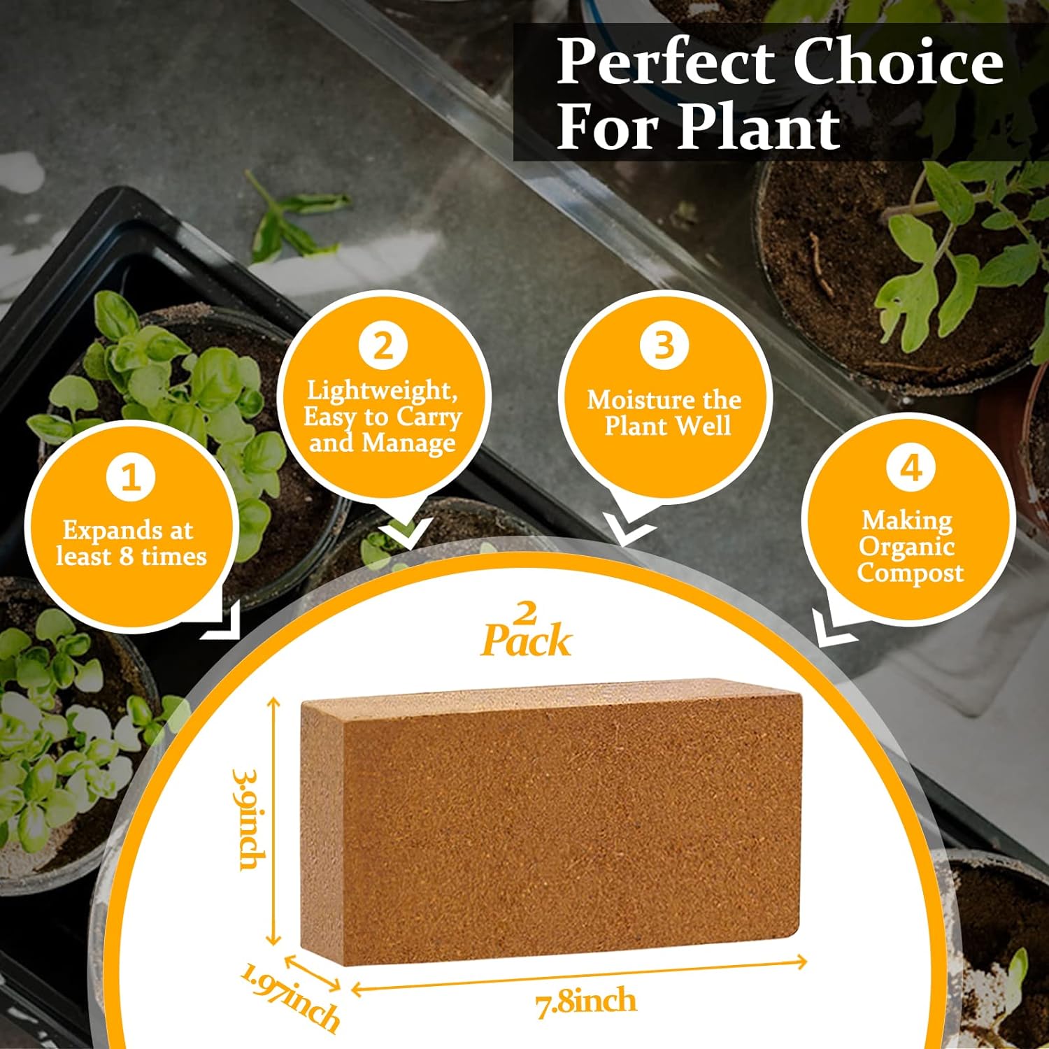 Riare 2pcs Organic Coco Coir Bricks Soil Blocks- 100% Natural Compressed Coco Peat Brick Coconut Fiber Substrate with Low EC& pH Balance, High Expansion Coco Coir Pith Coconut Husk for Garden - Pet Explorer