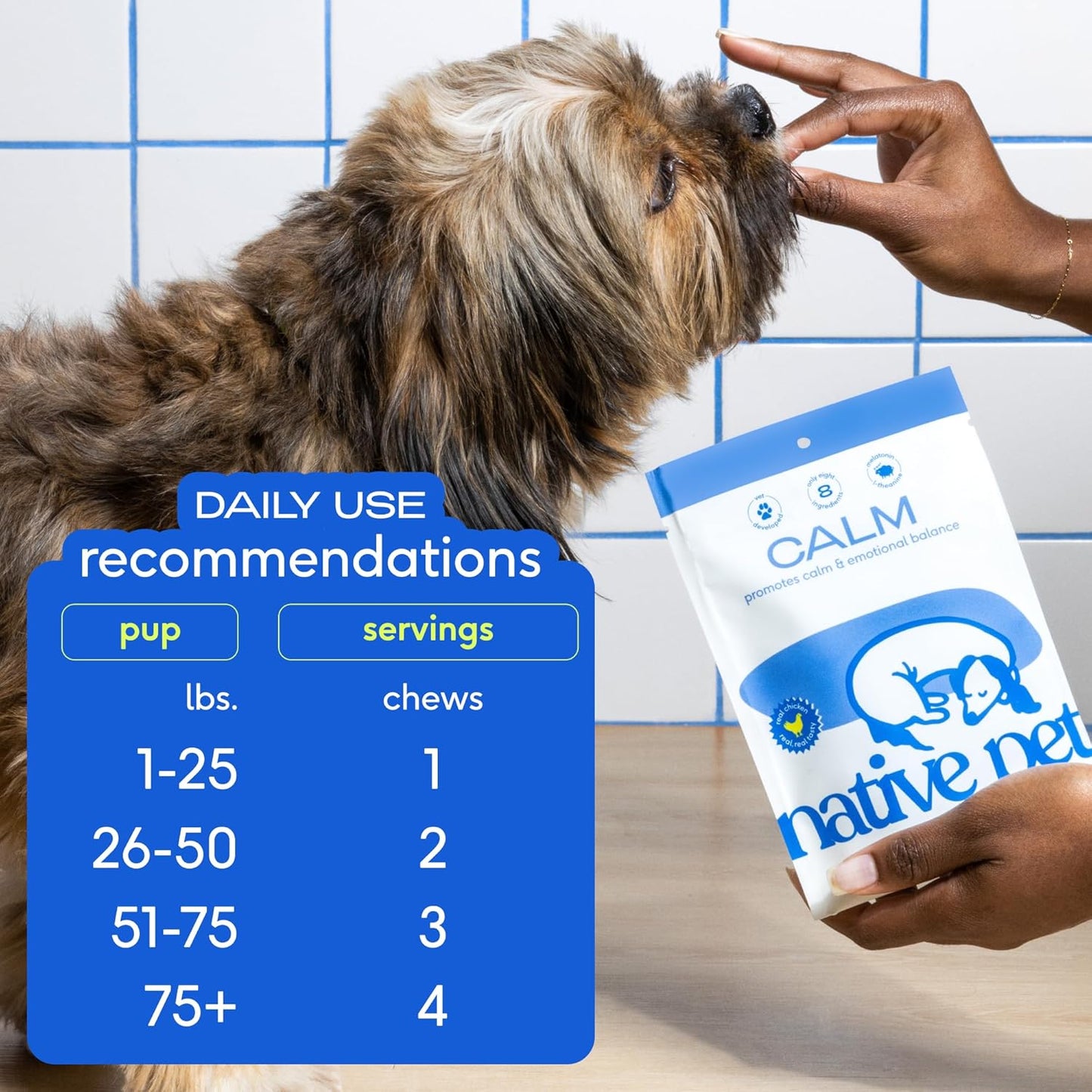 Native Pet Calming Chews for Dogs - Melatonin for Dogs Anxiety Relief - Grain Free All Natural Hemp Calming Treats & L-Theanine Helps Manage Stress & Separation Anxiety - Puppy Sleep Aid - 60 Chews - Pet Explorer