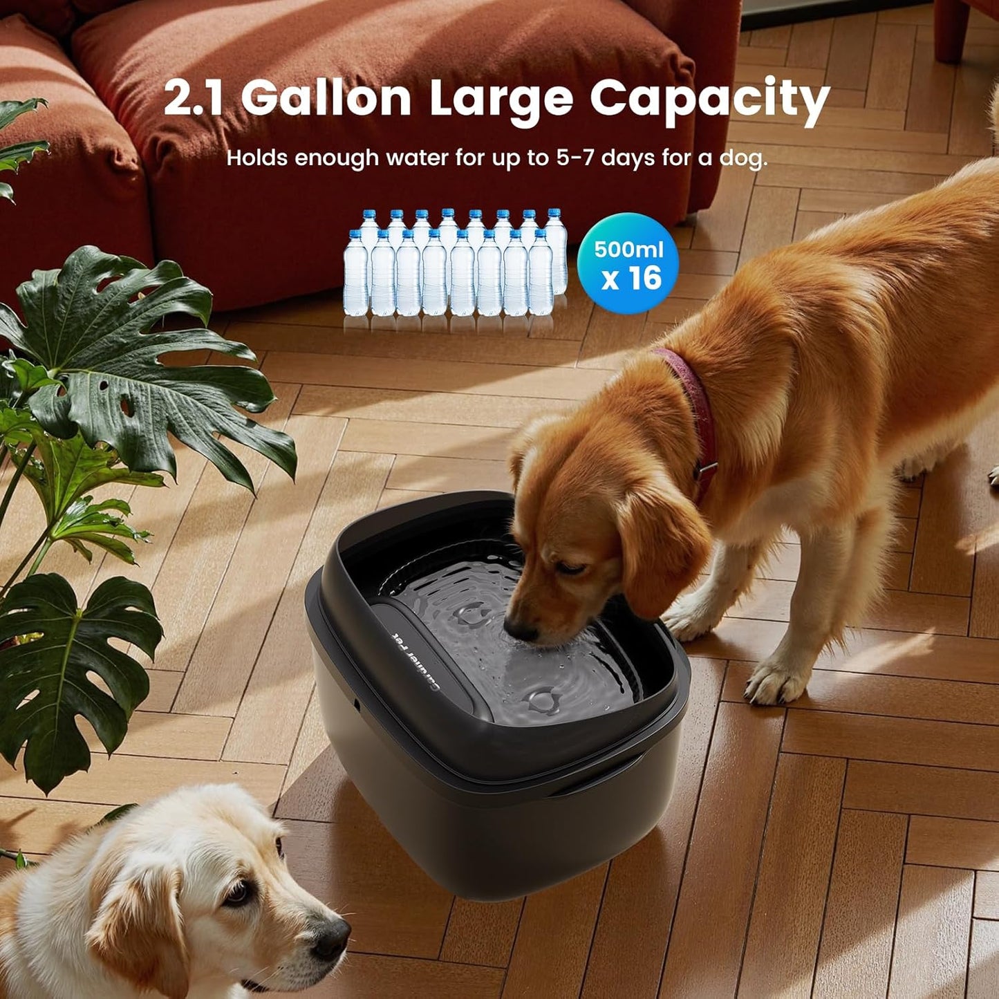 Gardner Pet Dog Water Fountain for Large Dogs, 8L/2.1Gal Large Capacity Automatic Dog Water Bowl Dispenser with Vortex Circulation, UV&Maifan Stone Filter, Splash-Proof, Quiet Cat & Dog Water Bowl - Pet Explorer