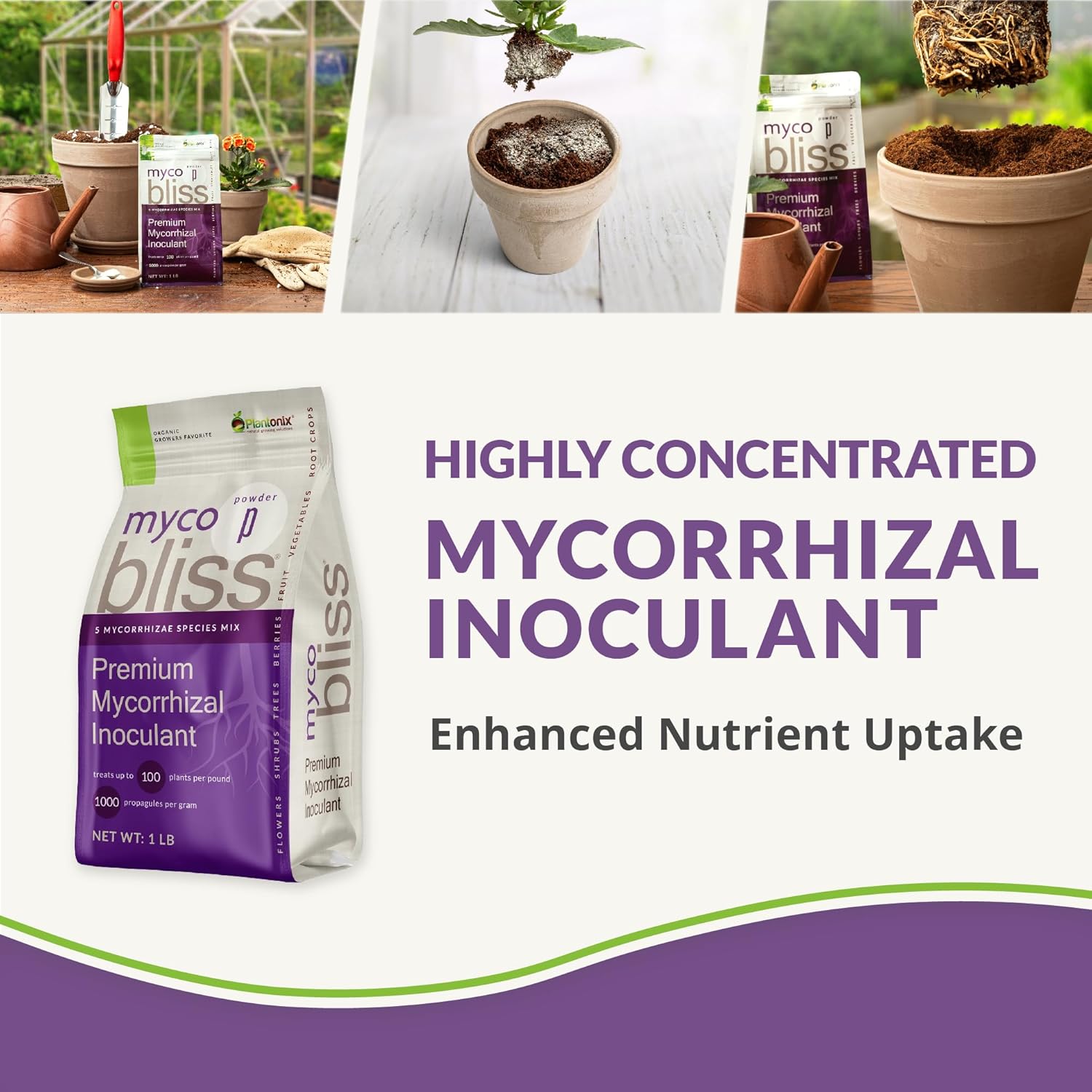 Coco Coir 650gm Bricks + Worm Castings + Mycorrhizal Inoculant + Neem Meal Fertilizer + Organic Biochar for Plants - All Natural Soil Amendments for Plants - Organic Coco Coir for Plants & Gardening - Pet Explorer