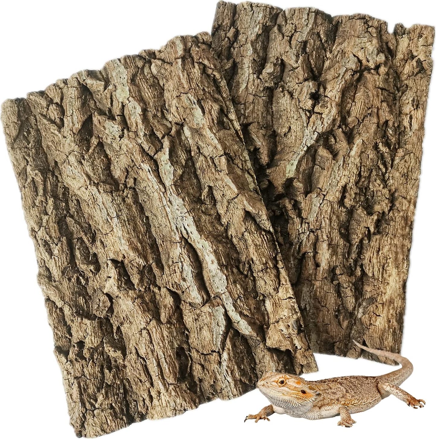 Fhiny 2 PCS Cork Bark Background, 11.6" x 7.7" Natural Cork Bark for Reptiles Tank Backdrop Reptile Climbing Wall Terrarium Decor Accessories for Turtle Beared Dragon Chameleon Snake - Pet Explorer