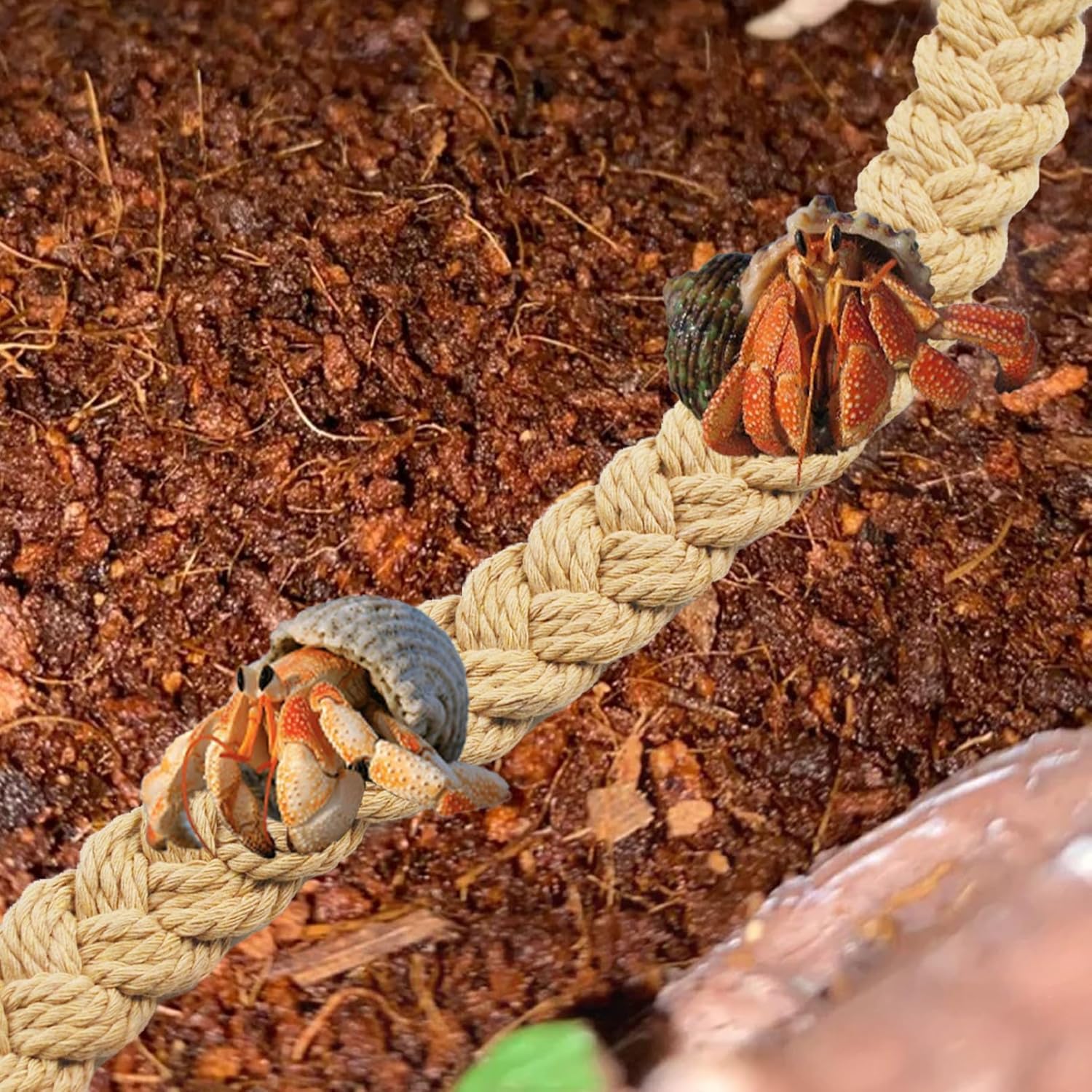 2PCS Hermit Crab Climbing Toys,Hermit Crab Rope Ladder Decor Reptile Hanging Vines Toys Hermit Crab Supplies Reptiles Habitat Tank Terrarium Accessories for Lizard Leopard Gecko Tree Frog(Flaxen) - Pet Explorer