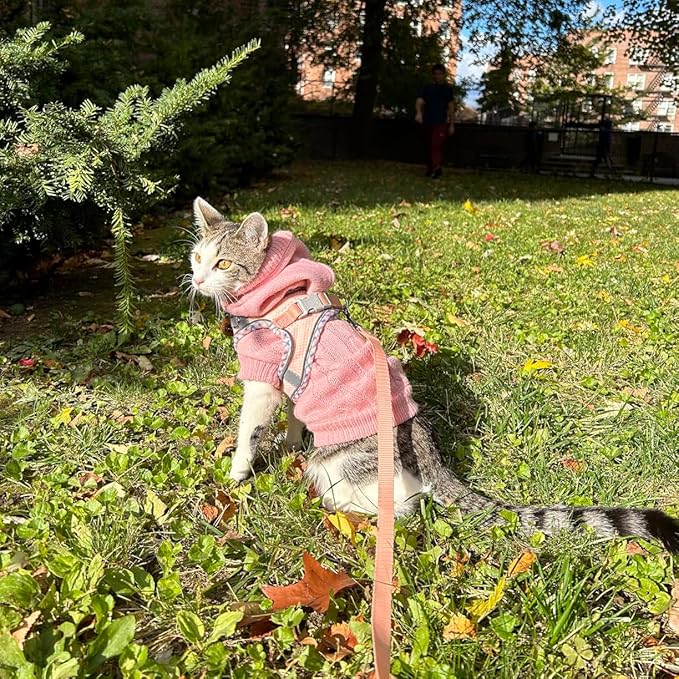 Dog Harness and Leash Set, No Pull Adjustable Reflective Pet Harness for Small Medium Dogs, Step in Vest Harness Easy Walk Dog Harness Outdoor Hiking Training for Small Medium Dogs, Cats(Pink, S)