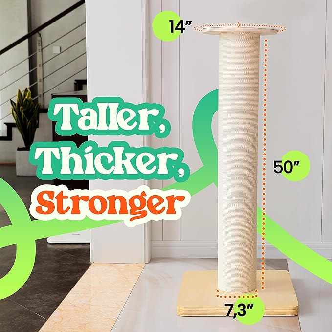 50" Tall Cat Scratching Post, Extra-Large Cat Scratch Post for Biggest Cats (Maine Coon), 7.3” Thick Post, 36lbs Weight, Solid Wood Base & Natural Sisal Rope