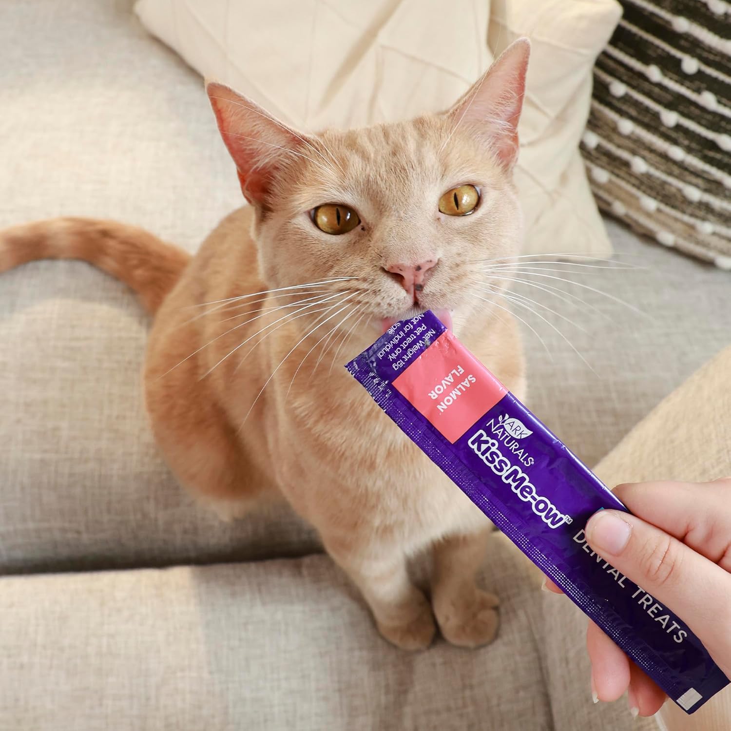 Ark Naturals, Kiss Me-Ow Lickable Salmon, 2 oz - Pet Explorer