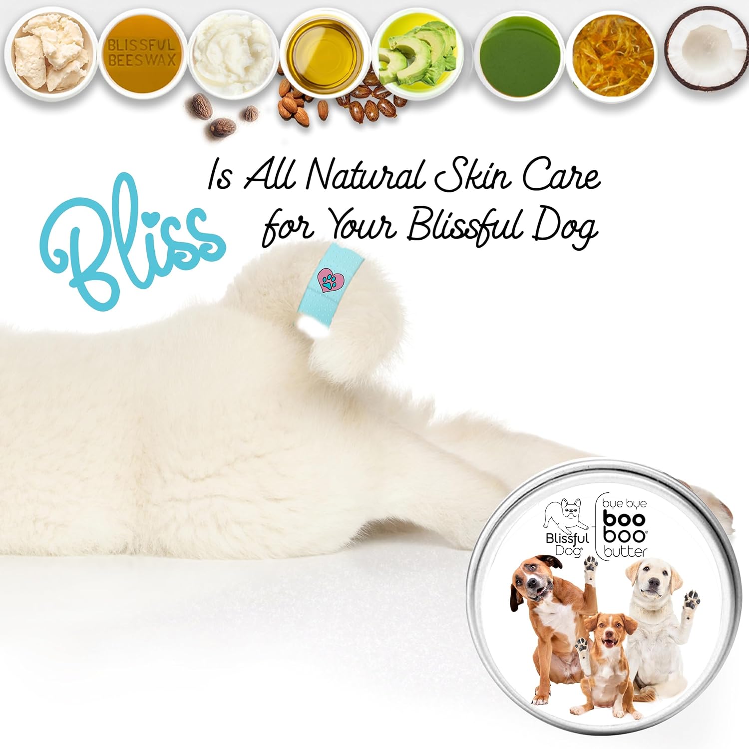 The Blissful Dog Mixed Breed Boo Boo Butter, 16oz - Pet Explorer