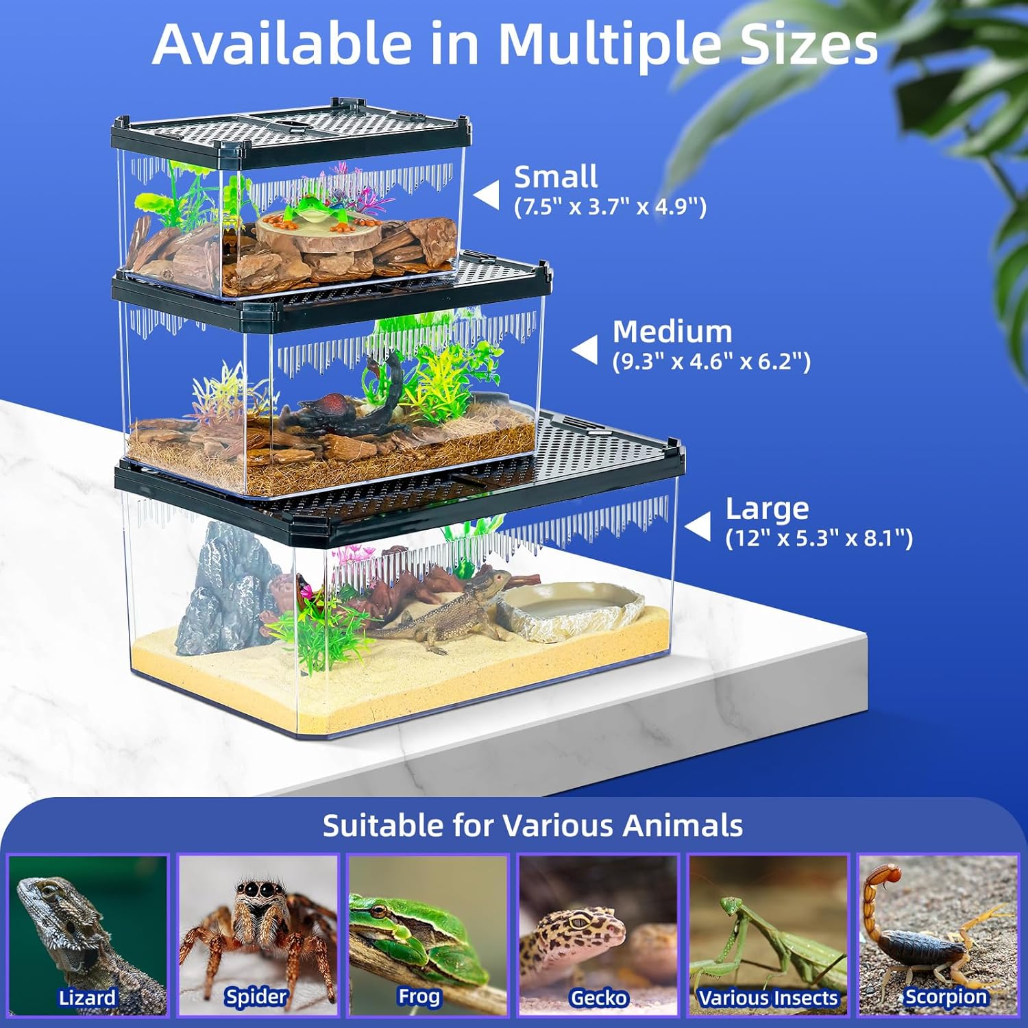 High-Transparency Reptile & Insect Enclosure Terrarium with Magnetic Door, Excellent Ventilation, Easy Cleaning, and Strong, Long-Lasting Build for Gecko, Tarantula, Hermit Crab (9.3x6.2x4.6 Inch) - Pet Explorer