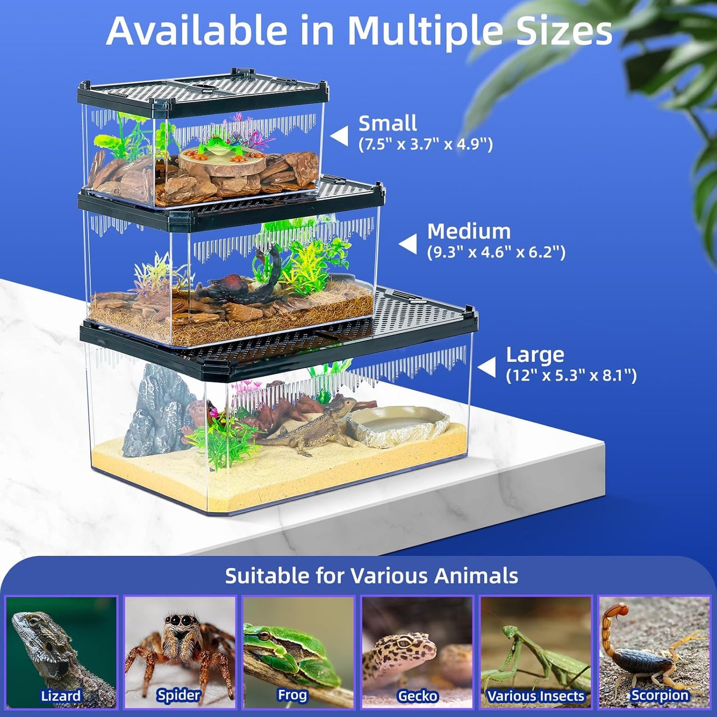 High-Transparency Reptile & Insect Enclosure Terrarium with Magnetic Door, Excellent Ventilation, Easy Cleaning, and Strong, Long-Lasting Build for Gecko, Tarantula, Hermit Crab (12x8.1x5.3 Inch) - Pet Explorer