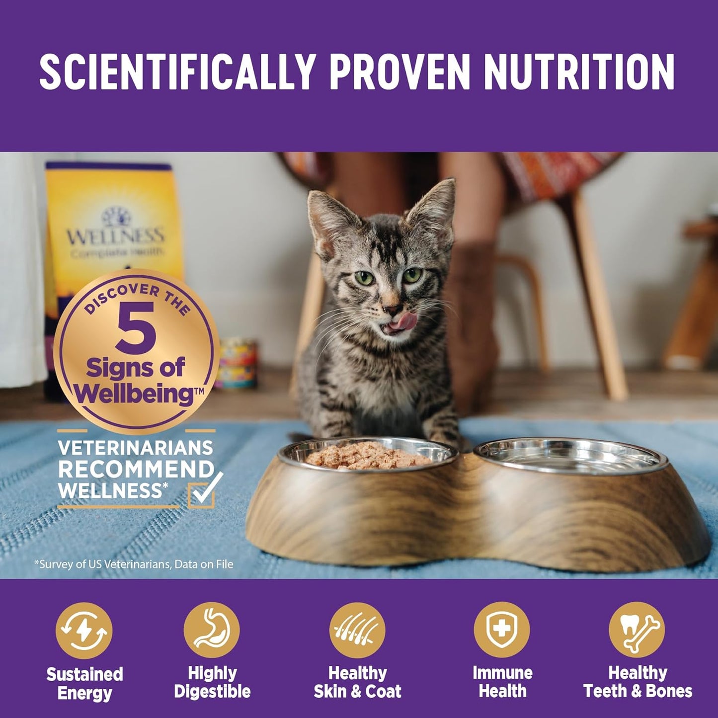 Wellness Complete Health Gravy Adult Wet Cat Food, Natural, Protein-Rich, Grain Free, 5.5 Ounce , 12 Pack, (Chicken Dinner)