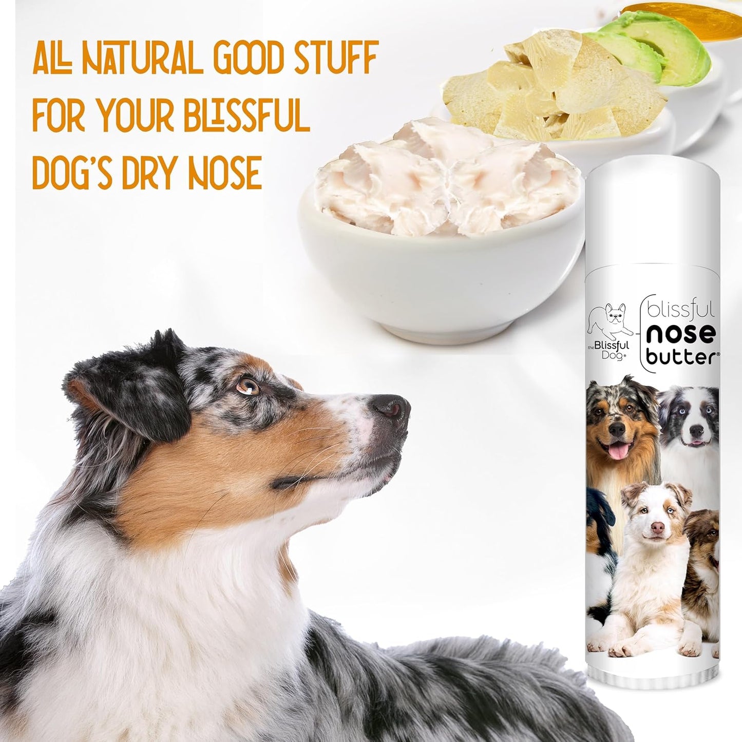 The Blissful Dog Australian Shepherd Nose Butter for Dry, Cracked Skin, Lick-Safe Dog Nose Balm with Moisturizing Shea Butter, Almond, Olive, and Essential Oils, Pet Supplies, Uncented, 0.50 oz. - Pet Explorer