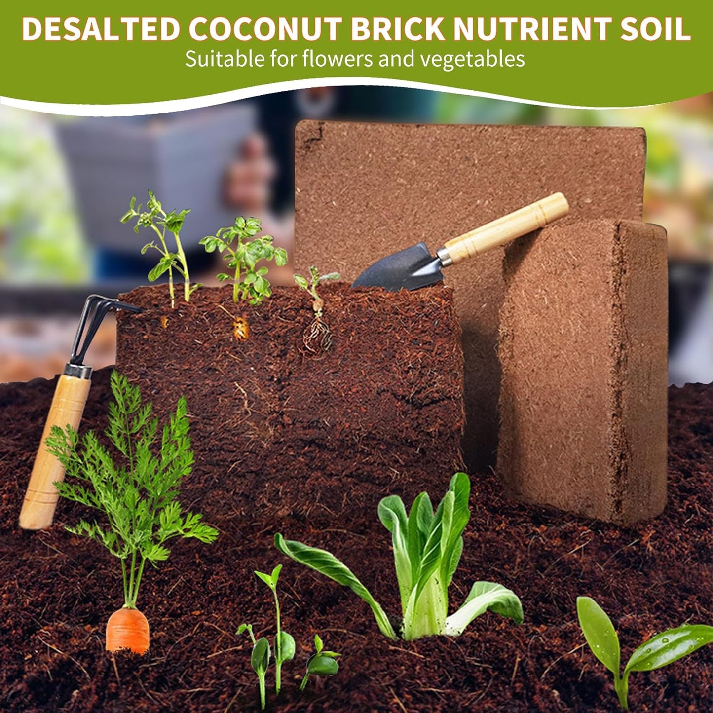 Coco Coir Brick for Plants- 5 Pack,1.4lbs 100% Organic Coconut Coir Soil Neutral pH, for Plant Growth and Root Developmentfor Growing Vegetables & Ideal Reptile Bedding (5) - Pet Explorer
