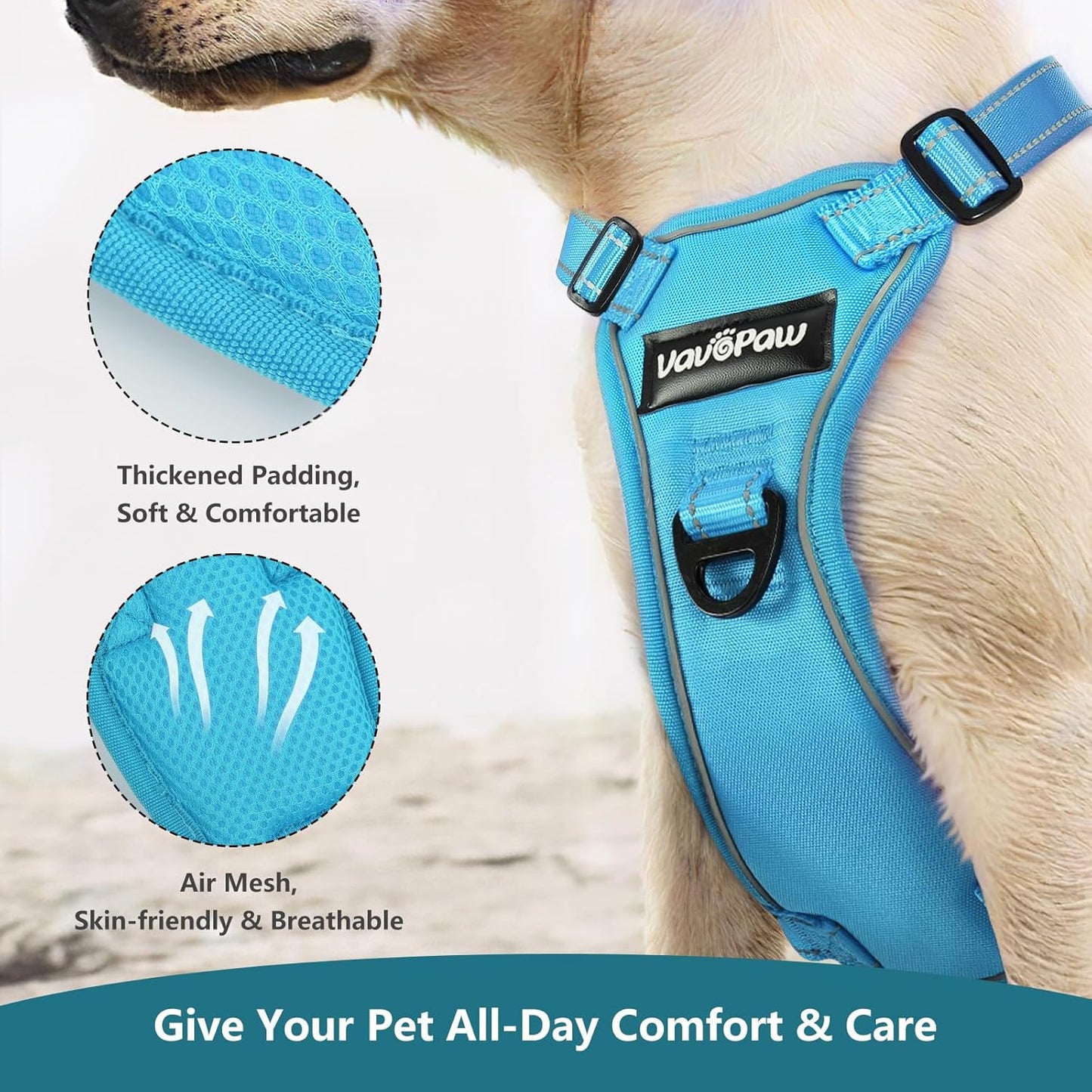 Dog Seat Belt Harness for Car, Dog Car Harness Adjustable Mesh Breathable & Dogs Seatbelt Safety Tether with Elastic Bungee for Small Medium Large Pets(Blue, XL) - Pet Explorer