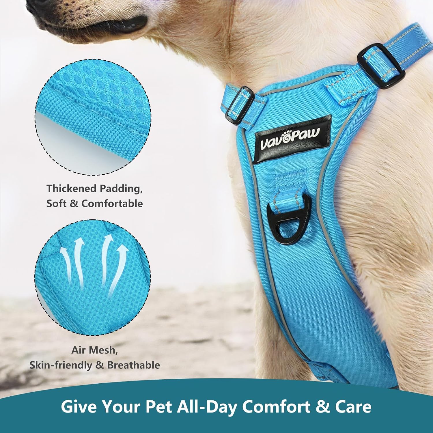 Dog Seat Belt Harness for Car, Dog Car Harness Adjustable Mesh Breathable & Dogs Seatbelt Safety Tether with Elastic Bungee for Small Medium Large Pets(Blue, S) - Pet Explorer