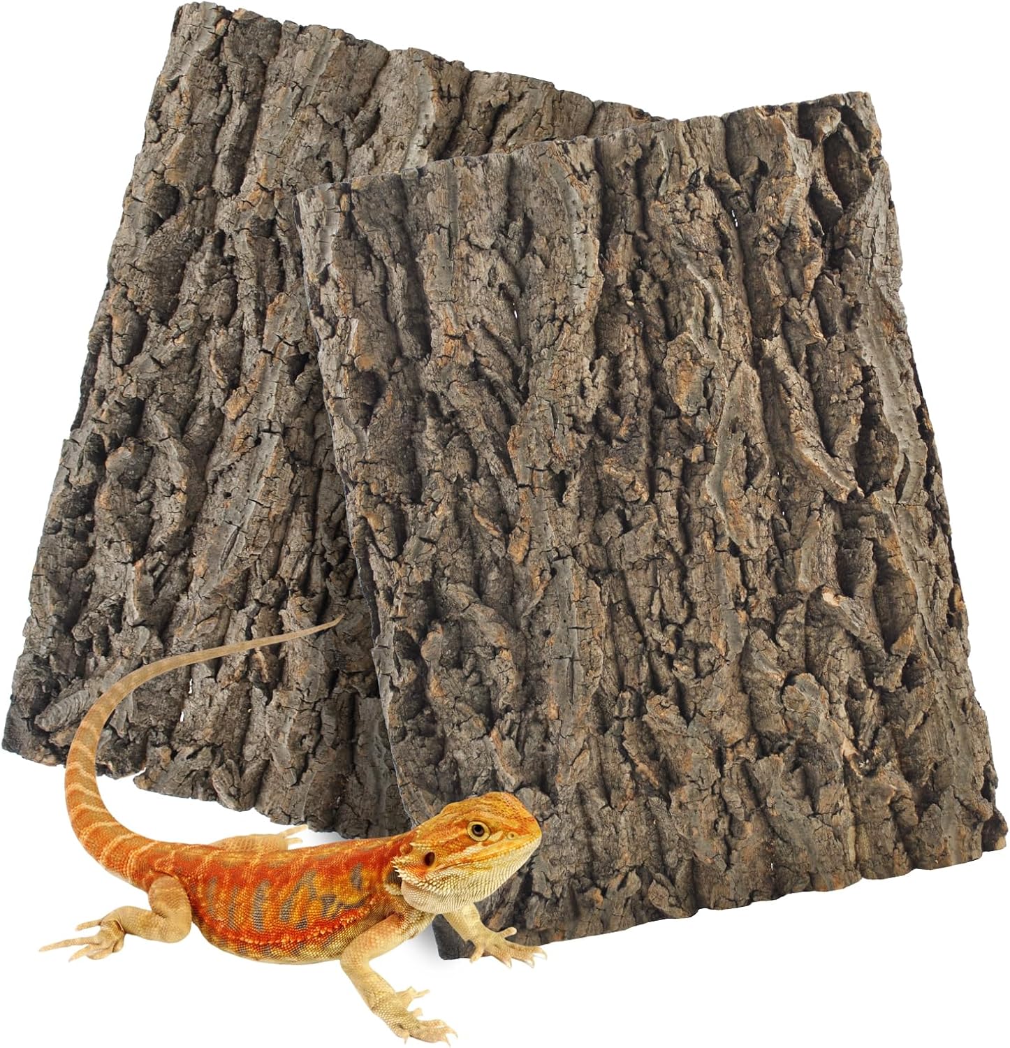 2PCS Reptile Cork Bark Background,15.74 x 11.81 Inch Natural Cork Wood Terrarium Background Bearded Dragon Tank Bark Backdrop Wall Decor for Lizard Gecko Chameleon Tortoise Snake Spider Frog - Pet Explorer