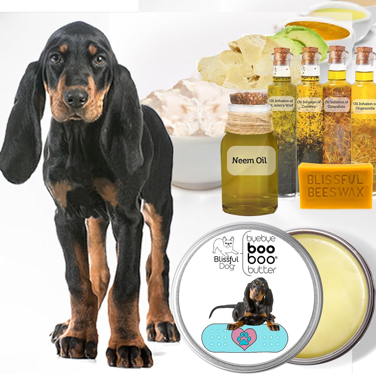 The Blissful Dog Coonhound Boo Boo Butter, 4-Ounce - Pet Explorer
