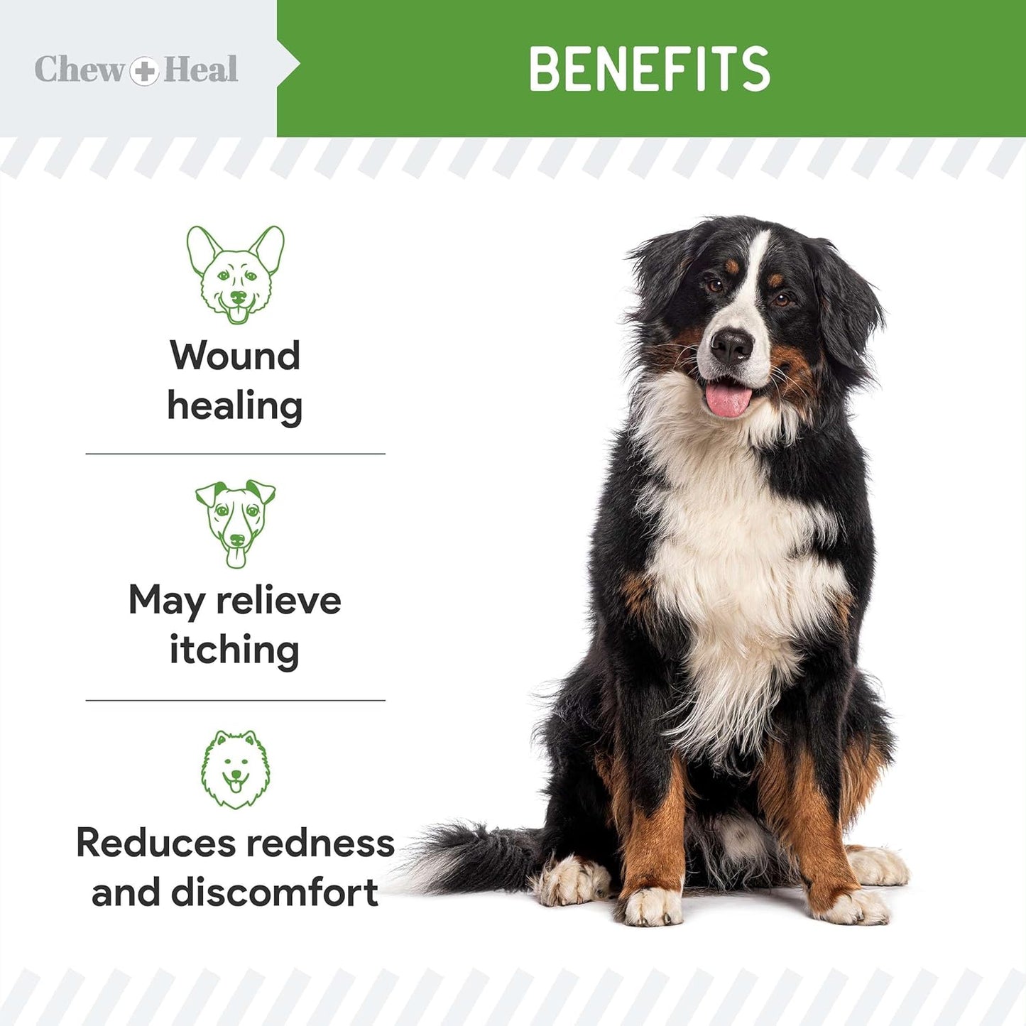 Hypochlorous Acid Spray for Dogs – 4oz Dog Wound Spray for Cuts, Burns, Sores, Abrasions, and More – Non Toxic and Chemical Free HOCI Wound Care – Made in The USA - Pet Explorer